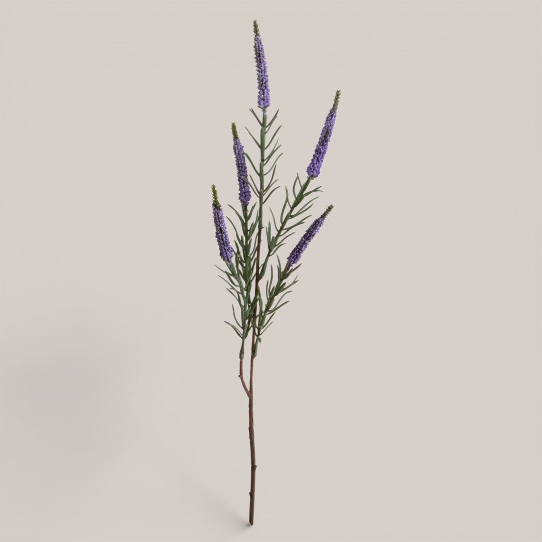 Spiga per 5 • 60 cm