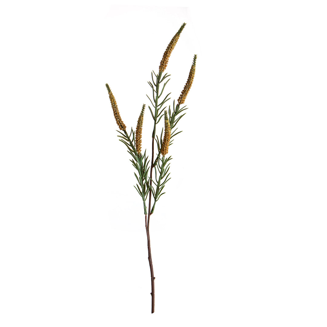 Spiga per 5 • 60 cm