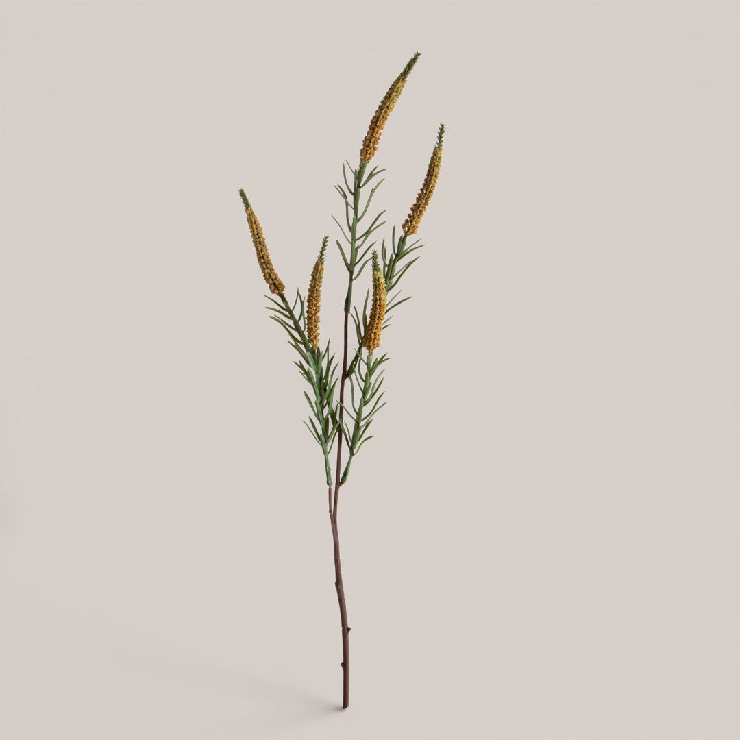 Spiga per 5 • 60 cm