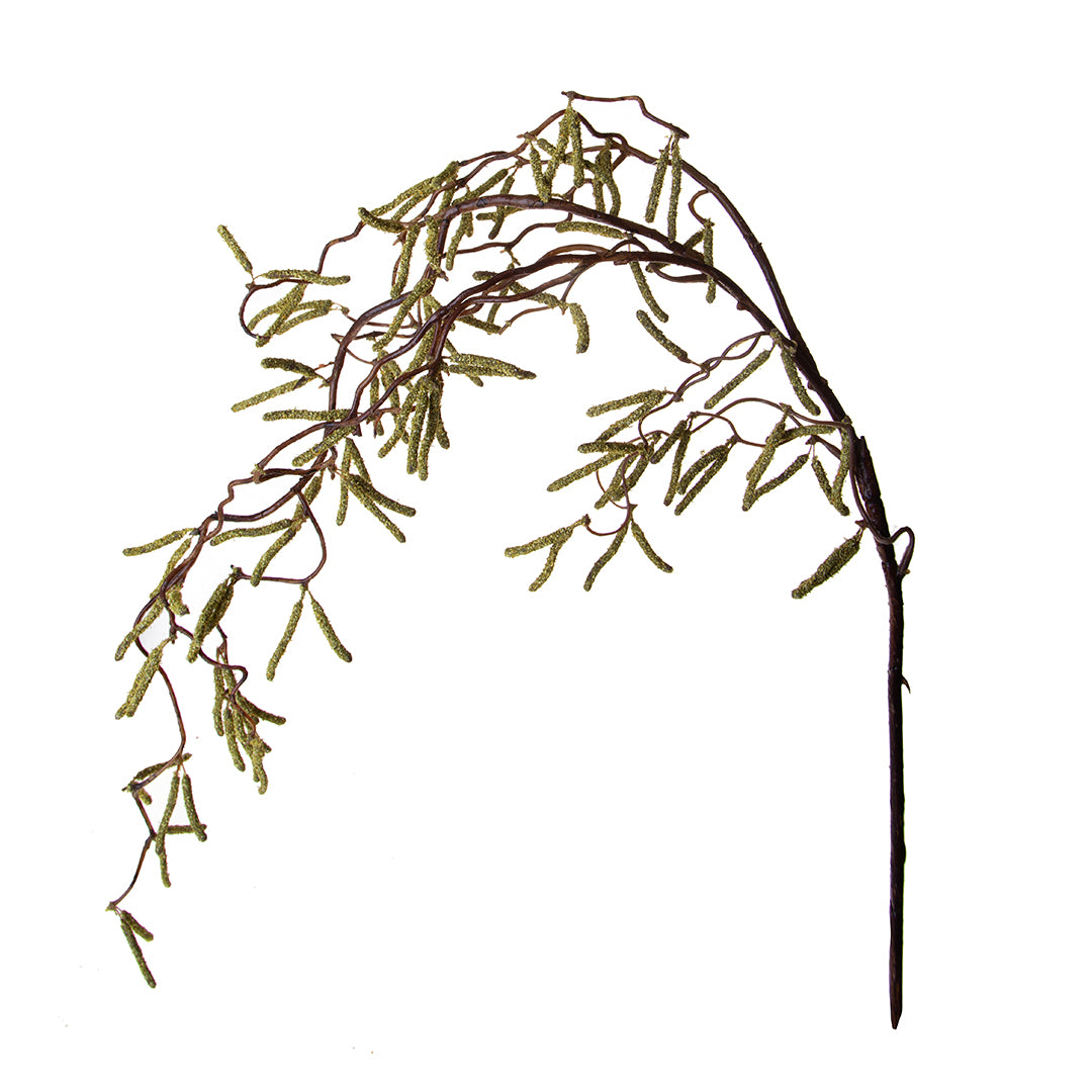 Nocciolo con infiorescenza • 112 cm