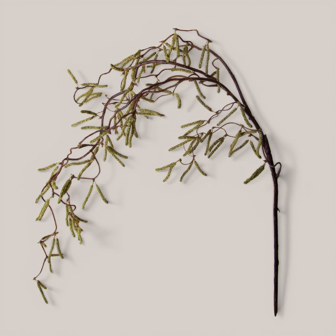 Nocciolo con infiorescenza • 112 cm