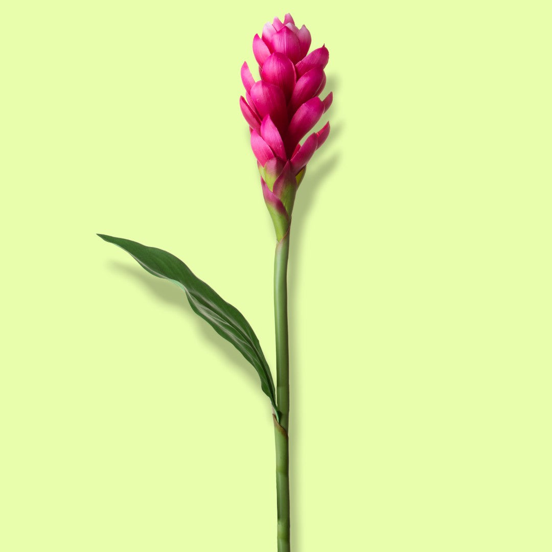 2 Pezzi • Ginger artificiale con foglia • 97 cm