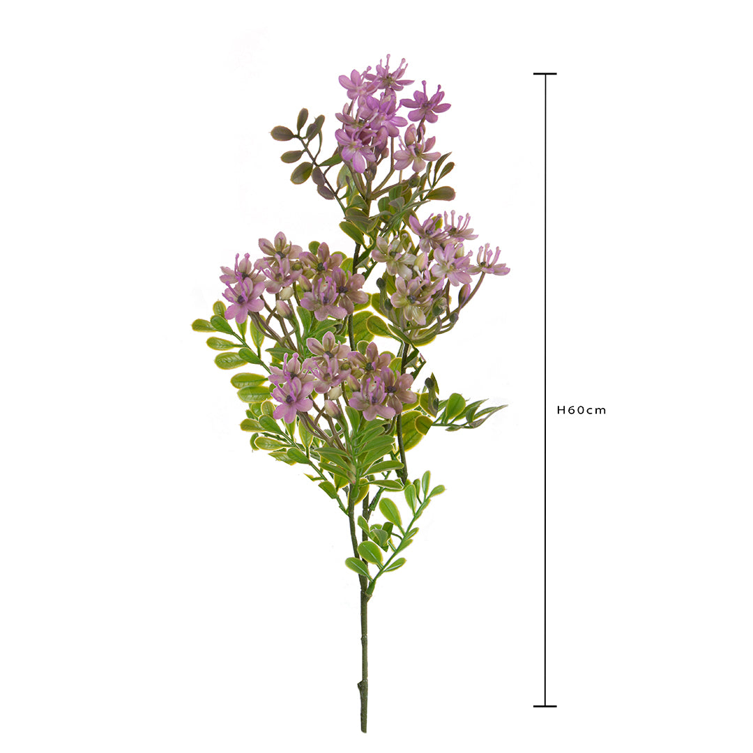 Kalanchoe Fiorita per 3 fiori • 60 cm