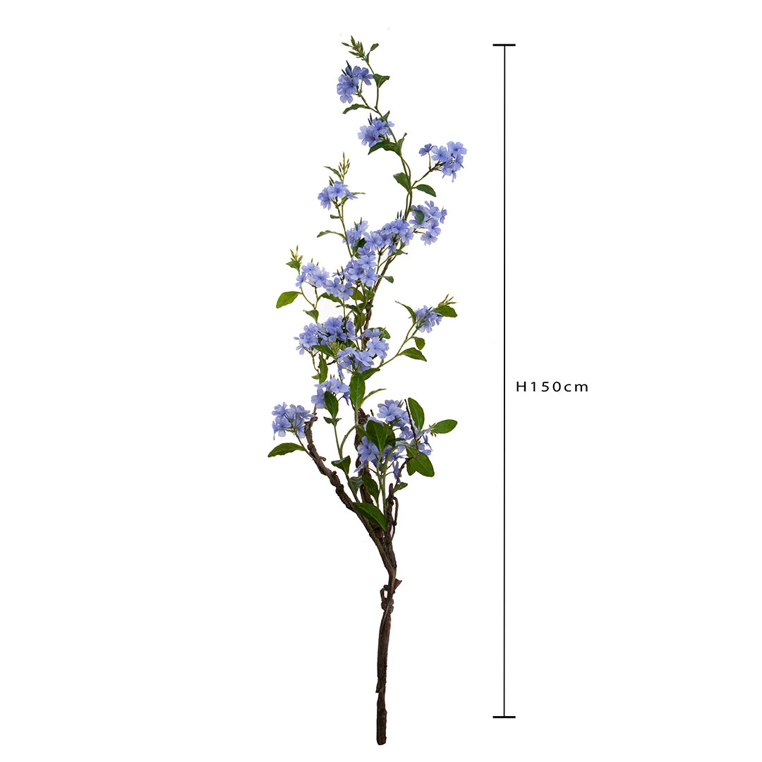 Plumbago Ramo con Fiori • 150 cm