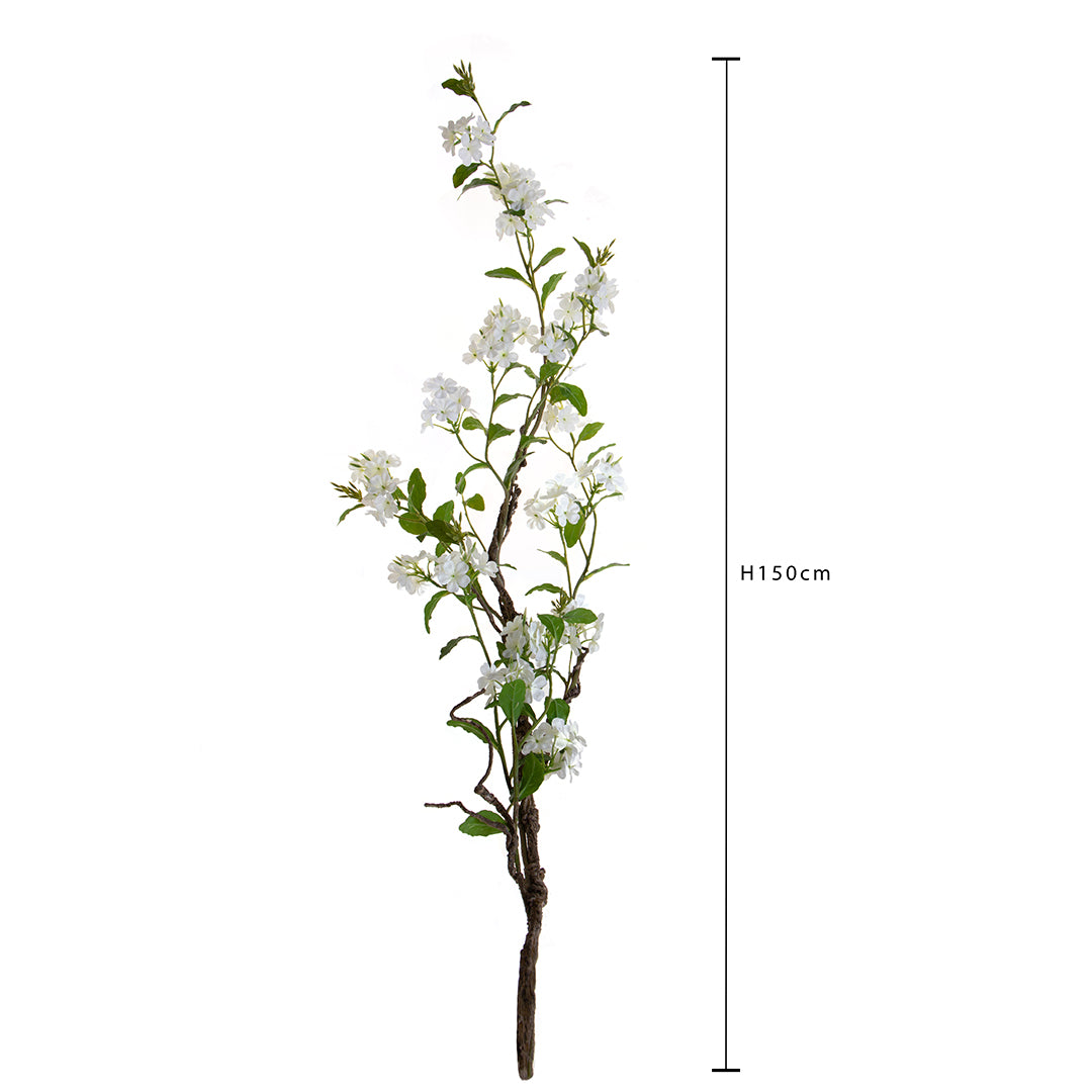 Plumbago Ramo con Fiori • 150 cm