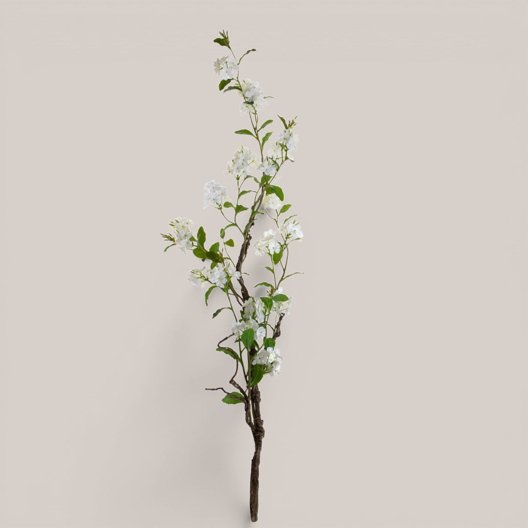 Plumbago Ramo con Fiori • 150 cm