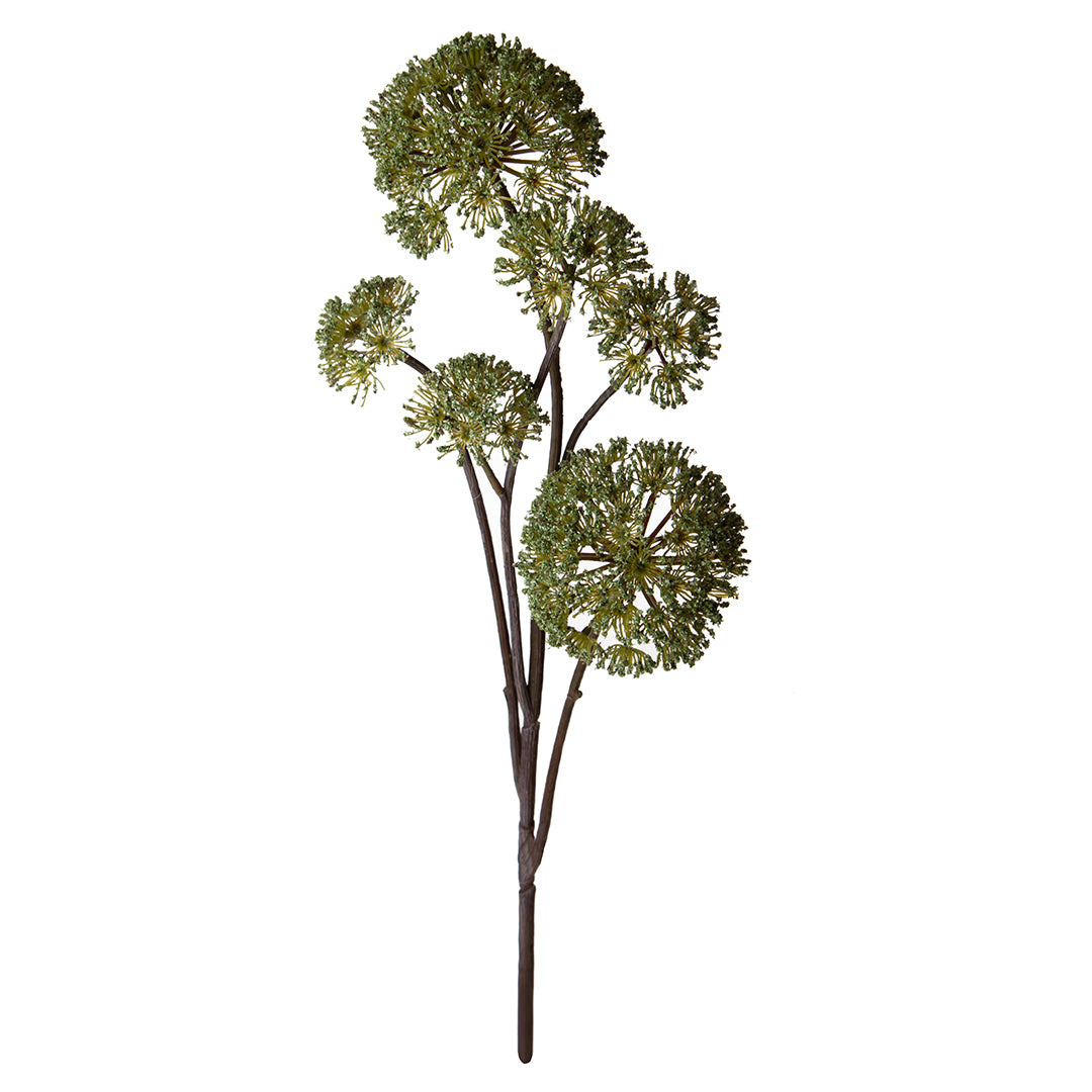 Anethum per 6 rami • 77 cm