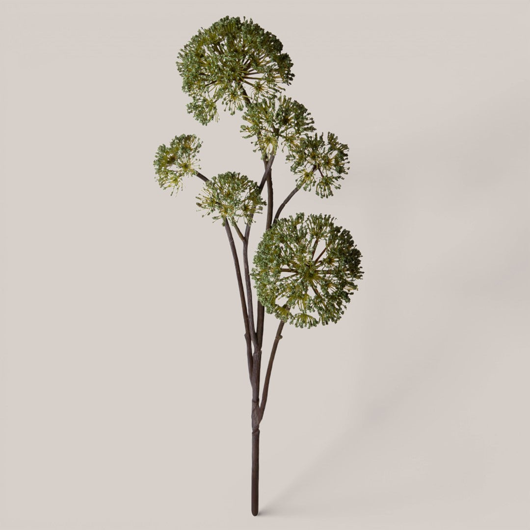 Anethum per 6 rami • 77 cm
