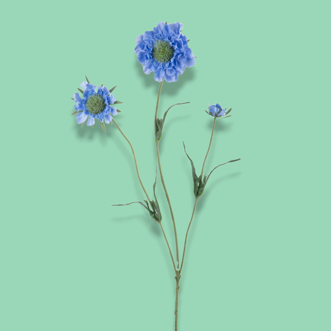 2 Pezzi • Fiore di scabiosa artificiale • 64 cm