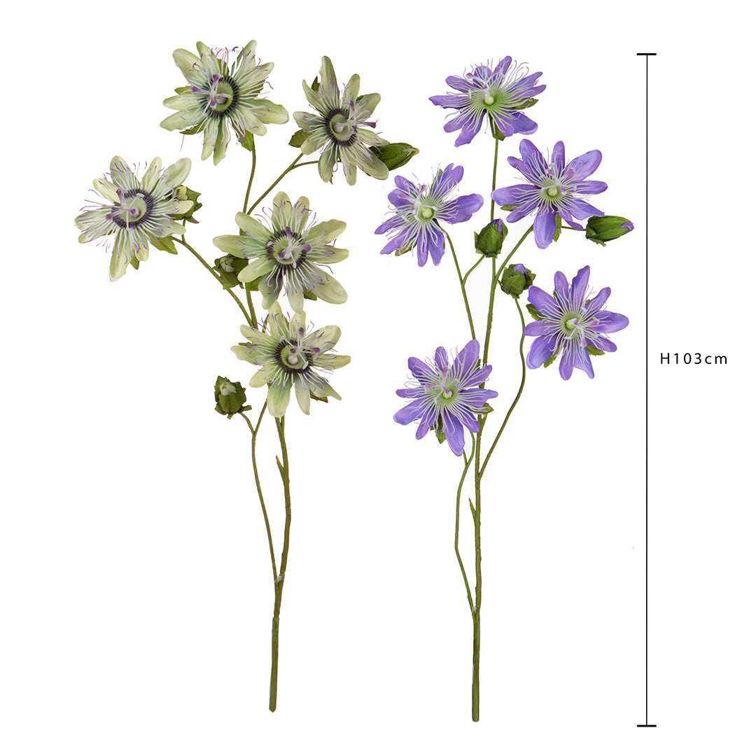 Passiflora • 103 cm