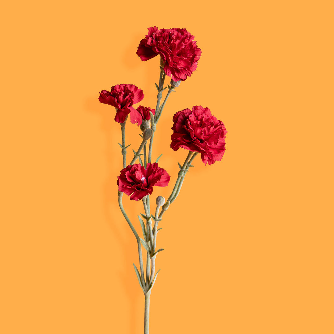 8 Pezzi • Fiore di garofanello artificiale • 62 cm