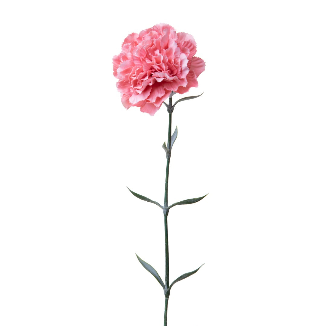 8 Pezzi • Garofano artificiale • 67 cm