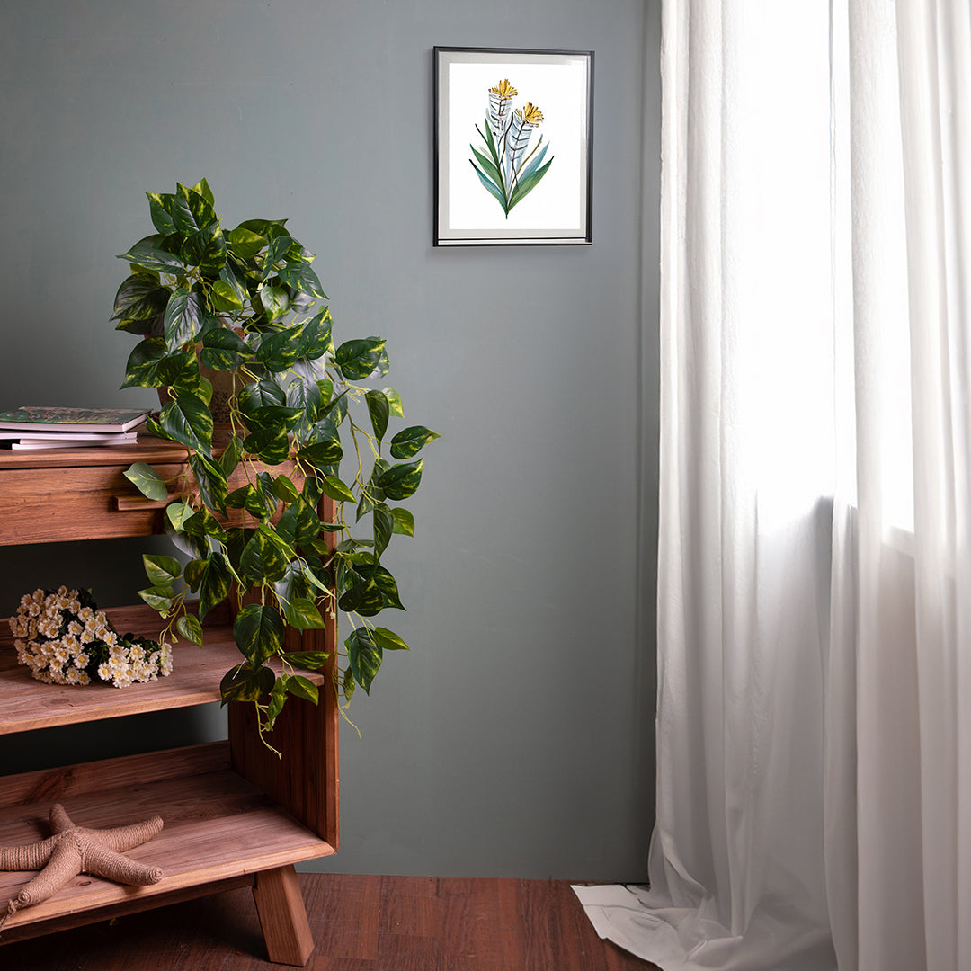 Pothos 166 foglie Cadente • 95 cm