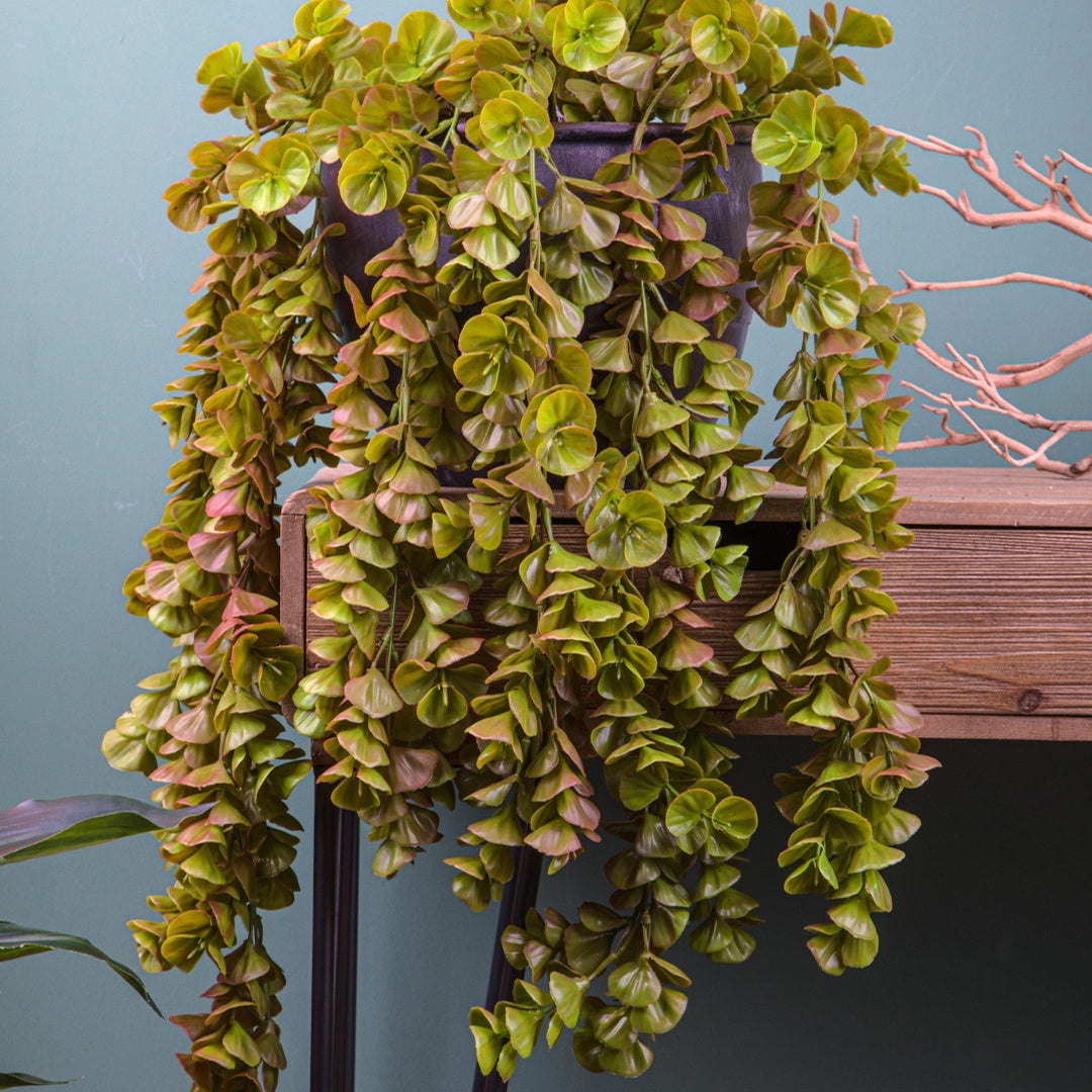 Pianta di crssula pendente artificiale • 80 cm