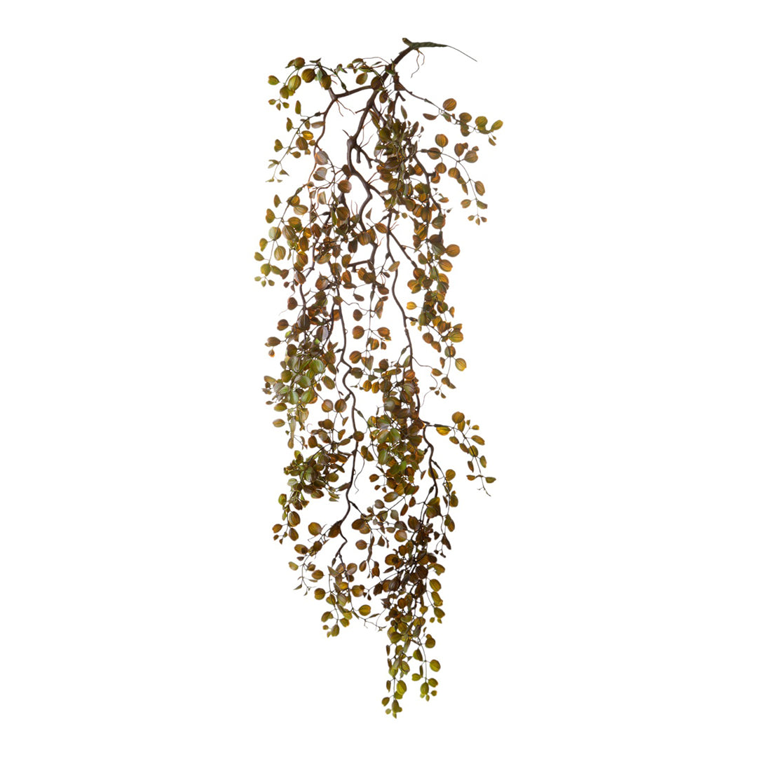 Dischidia cadente artificiale • 95 cm