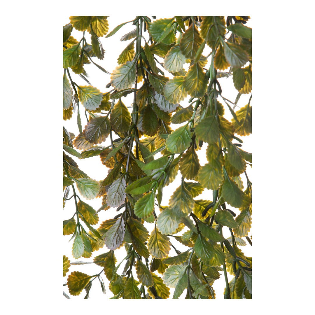 Callisia cadente artificiale • 80 cm