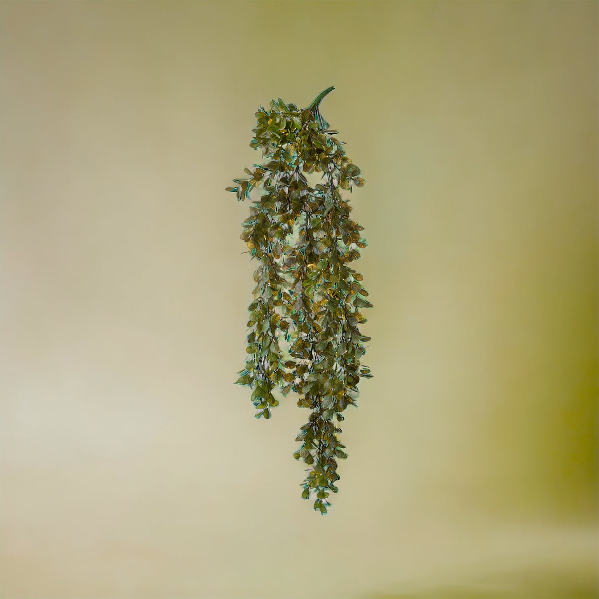 Callisia cadente artificiale • 80 cm