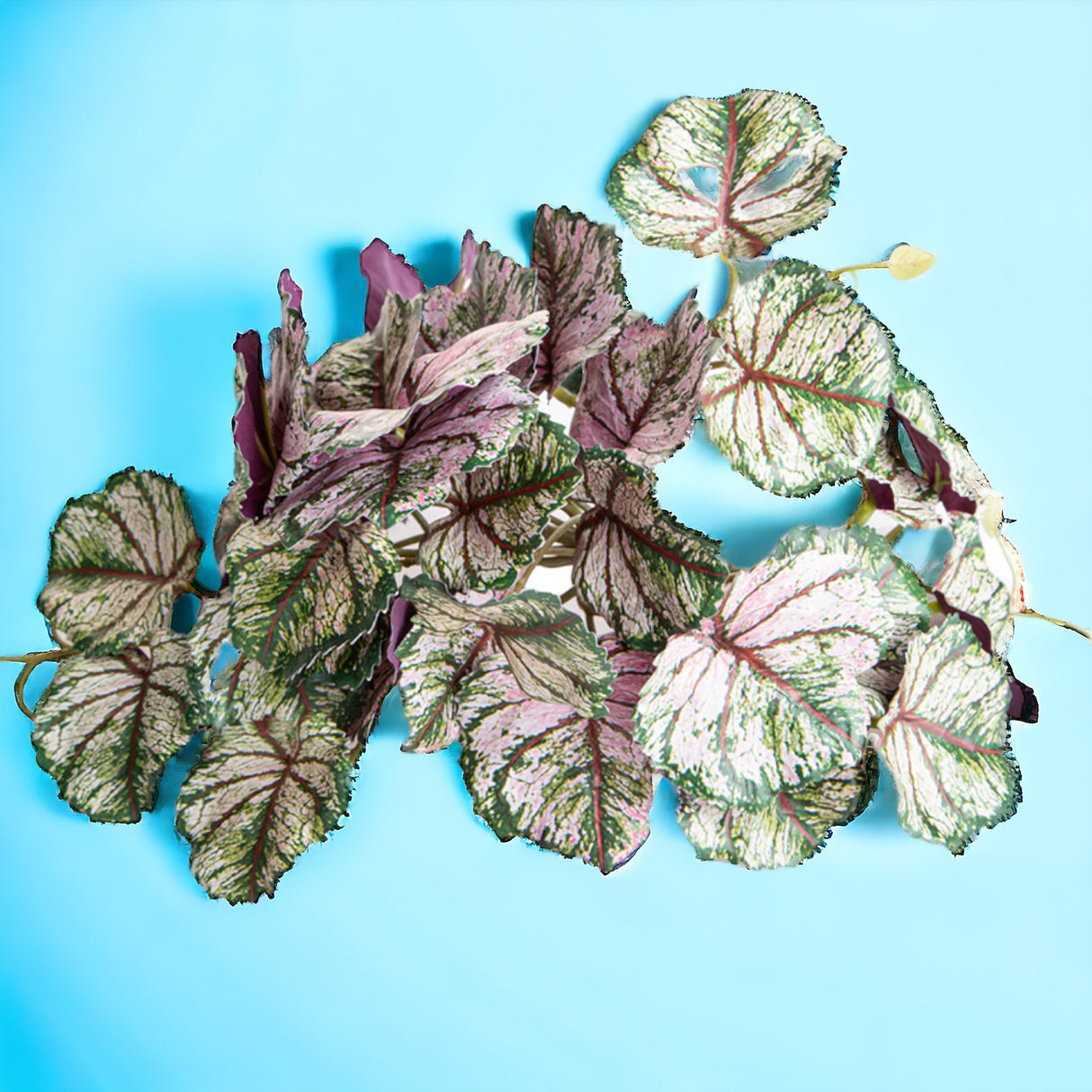 Heuchera con foglie artificiale • 20 cm