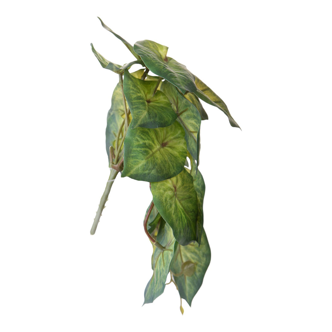 Syngonium con foglie artificiale • 18 cm