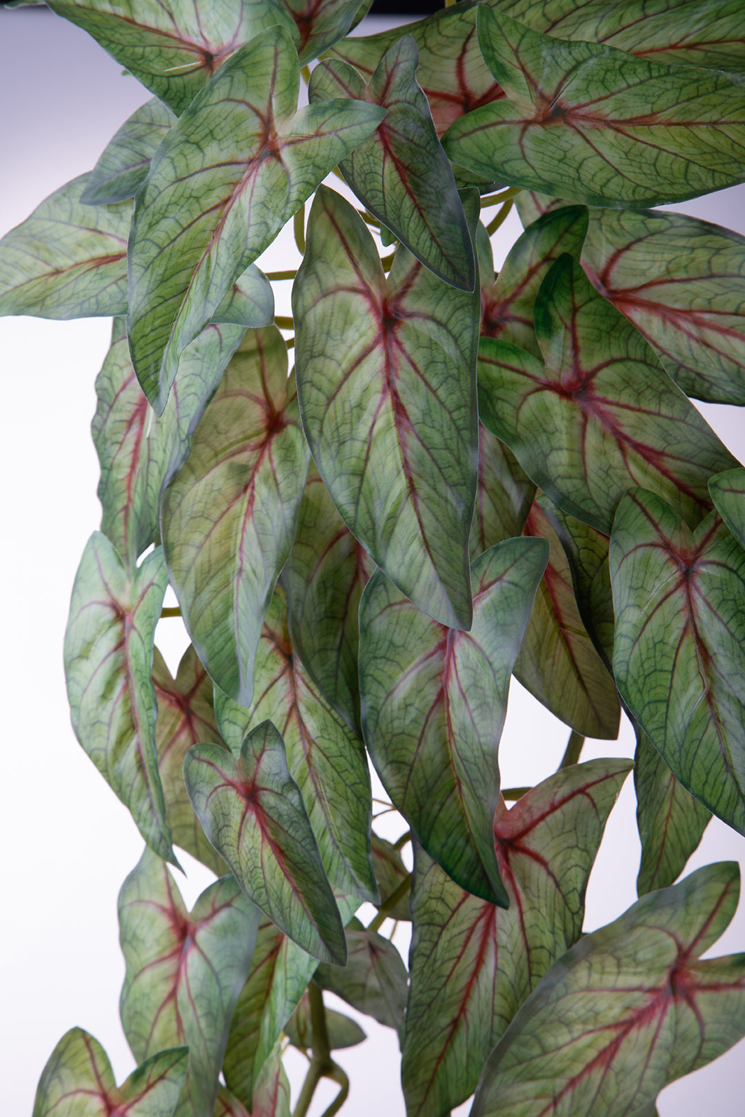 Cladium artificiale cadente • 80 cm