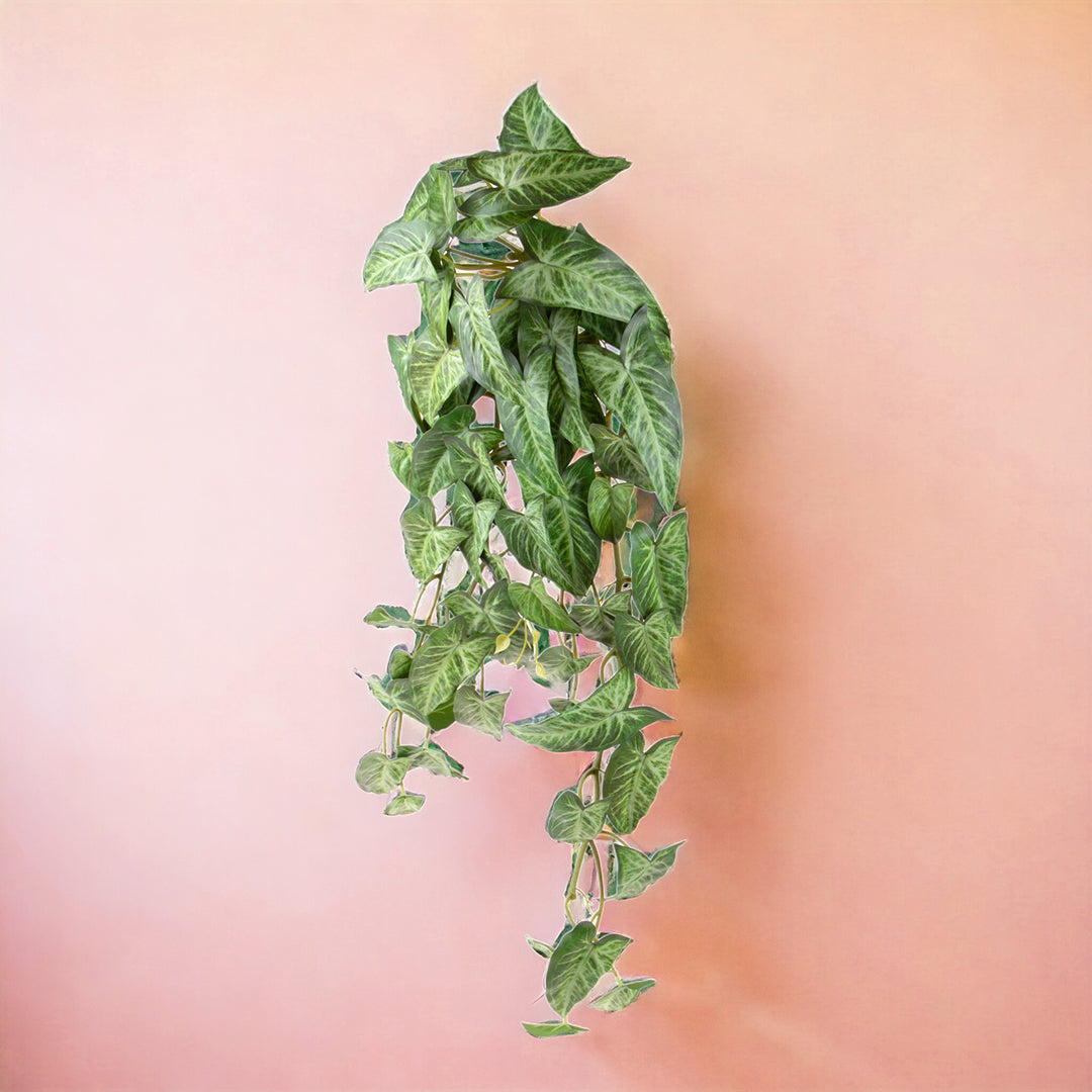 Verde artificiale Cladium cadente • 80 cm