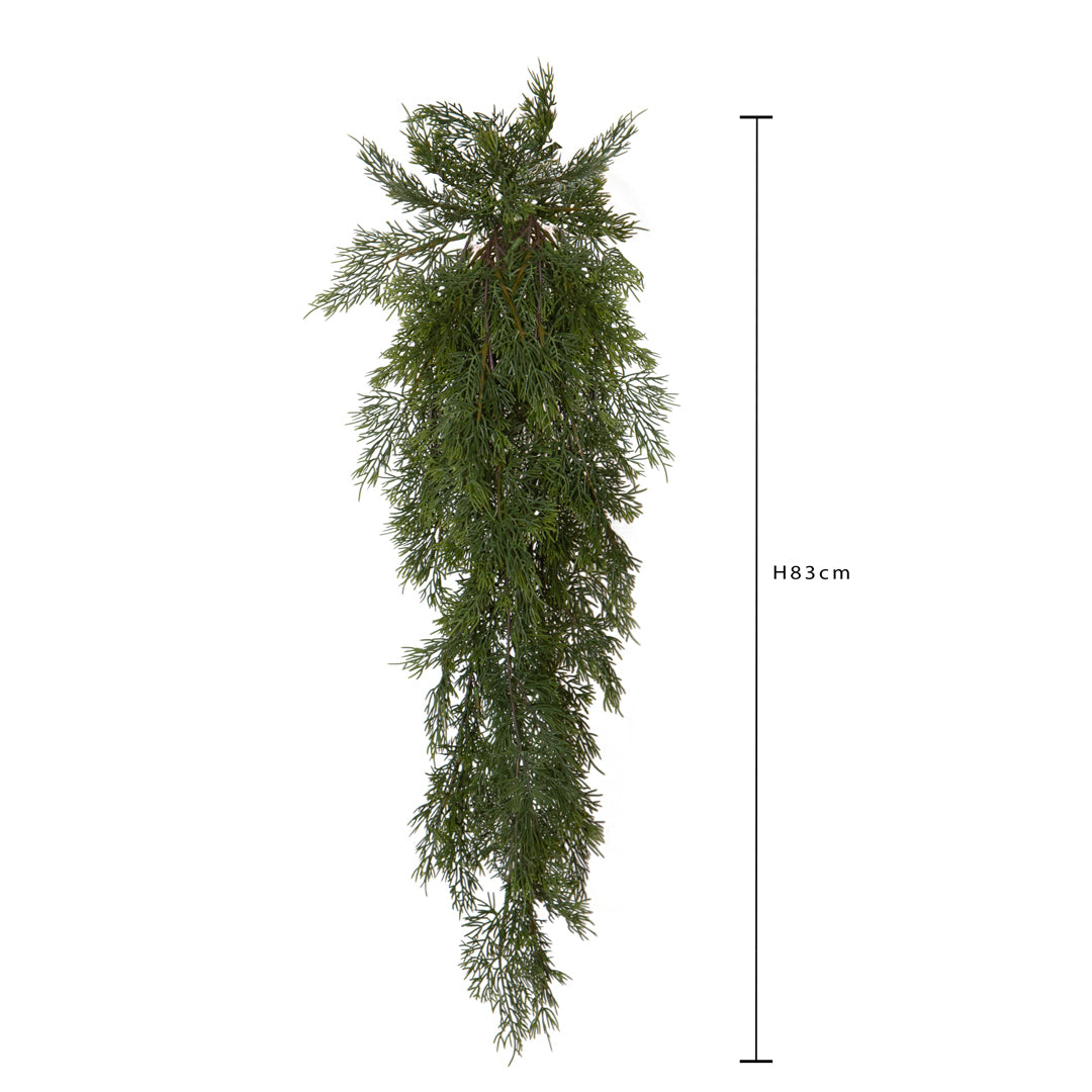 Cipressorami • H 83 cm