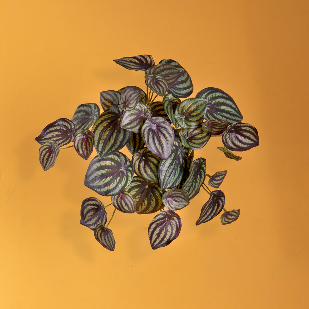 Peperomia per 8 diramazioni 43 foglie artificiale • 28 cm