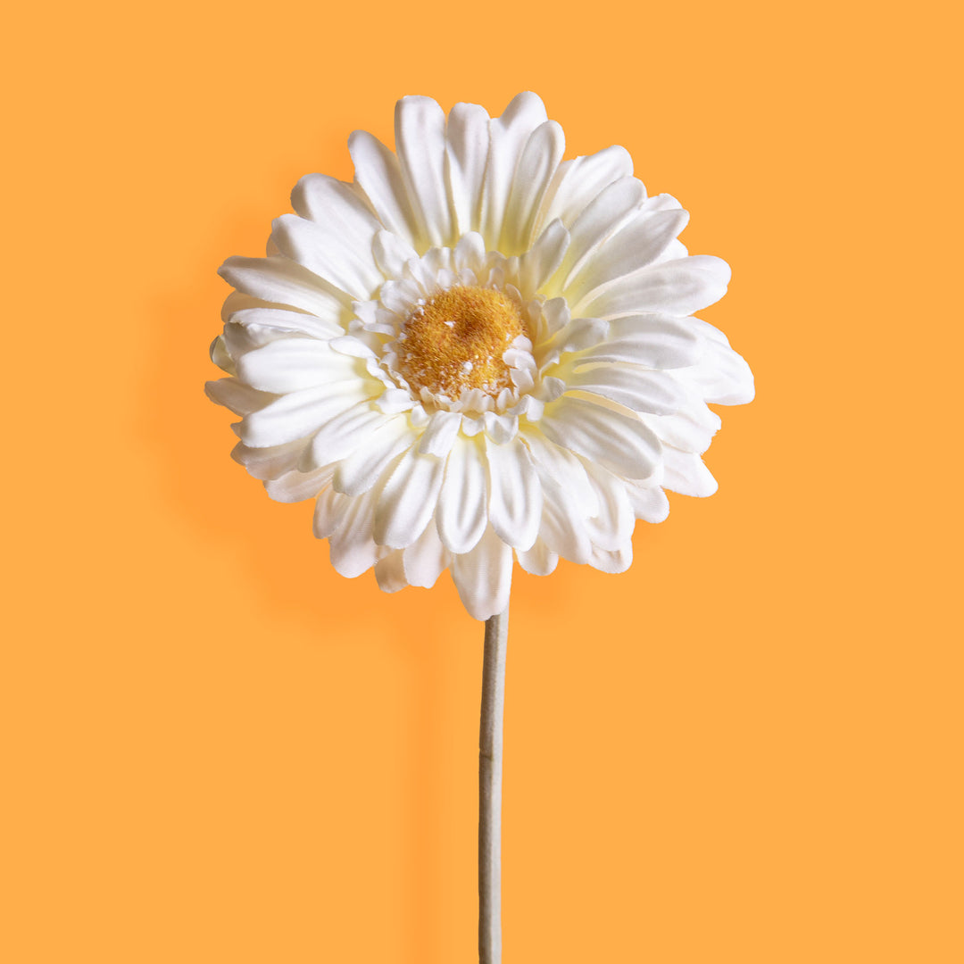 8 Pezzi • Fiore di gerbera artificiale • 53 cm