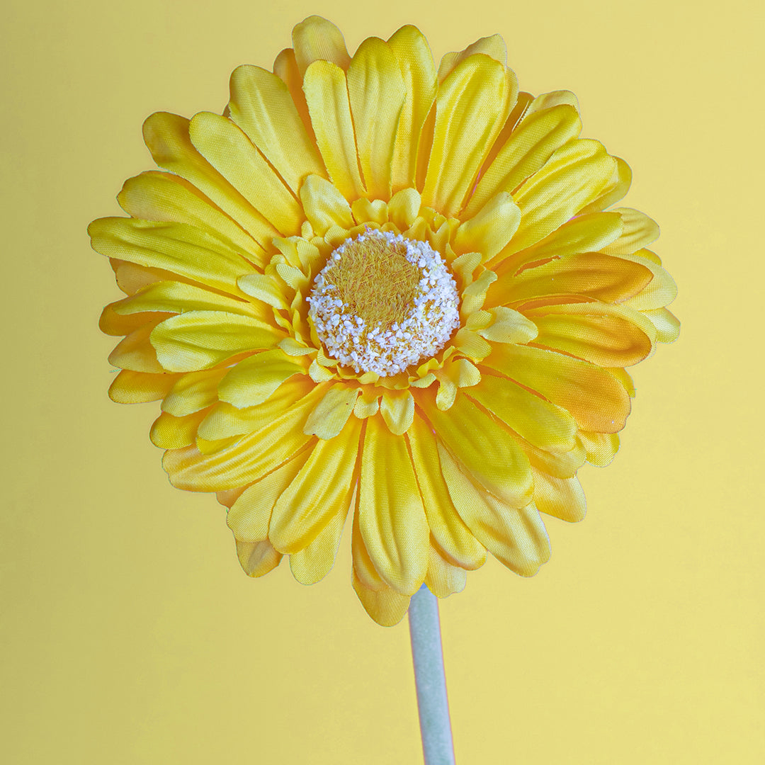8 Pezzi • Fiore di gerbera artificiale • 53 cm