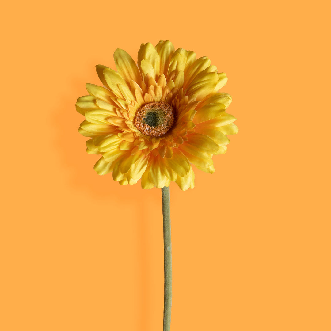 8 Pezzi • Fiore di gerbera singolo artificiale • 62 cm
