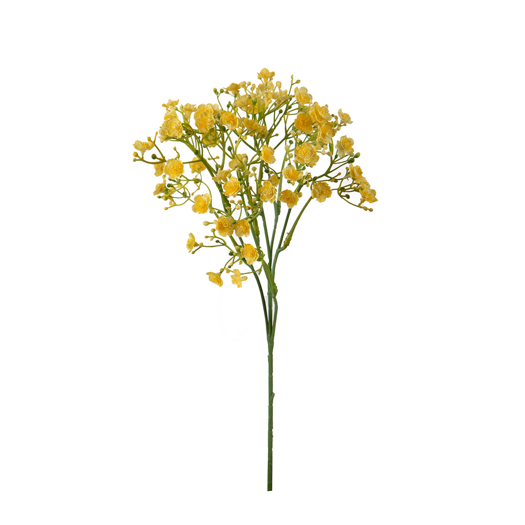 Gipsophila a doppio petalo • 46 cm