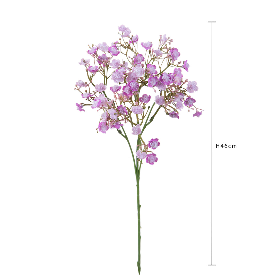 Gipsophila Doppio Petalo • 46 cm