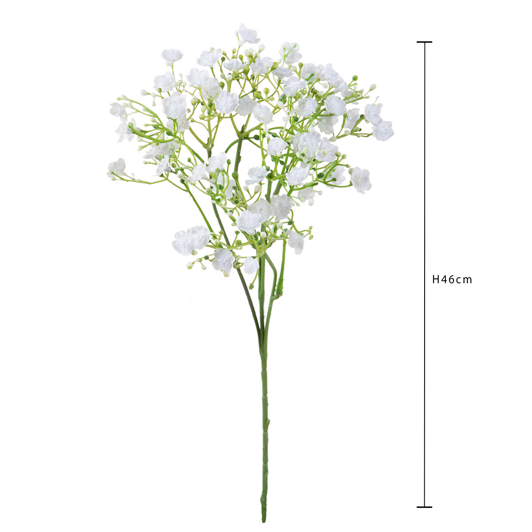 Gipsophila a doppio petalo • 46 cm