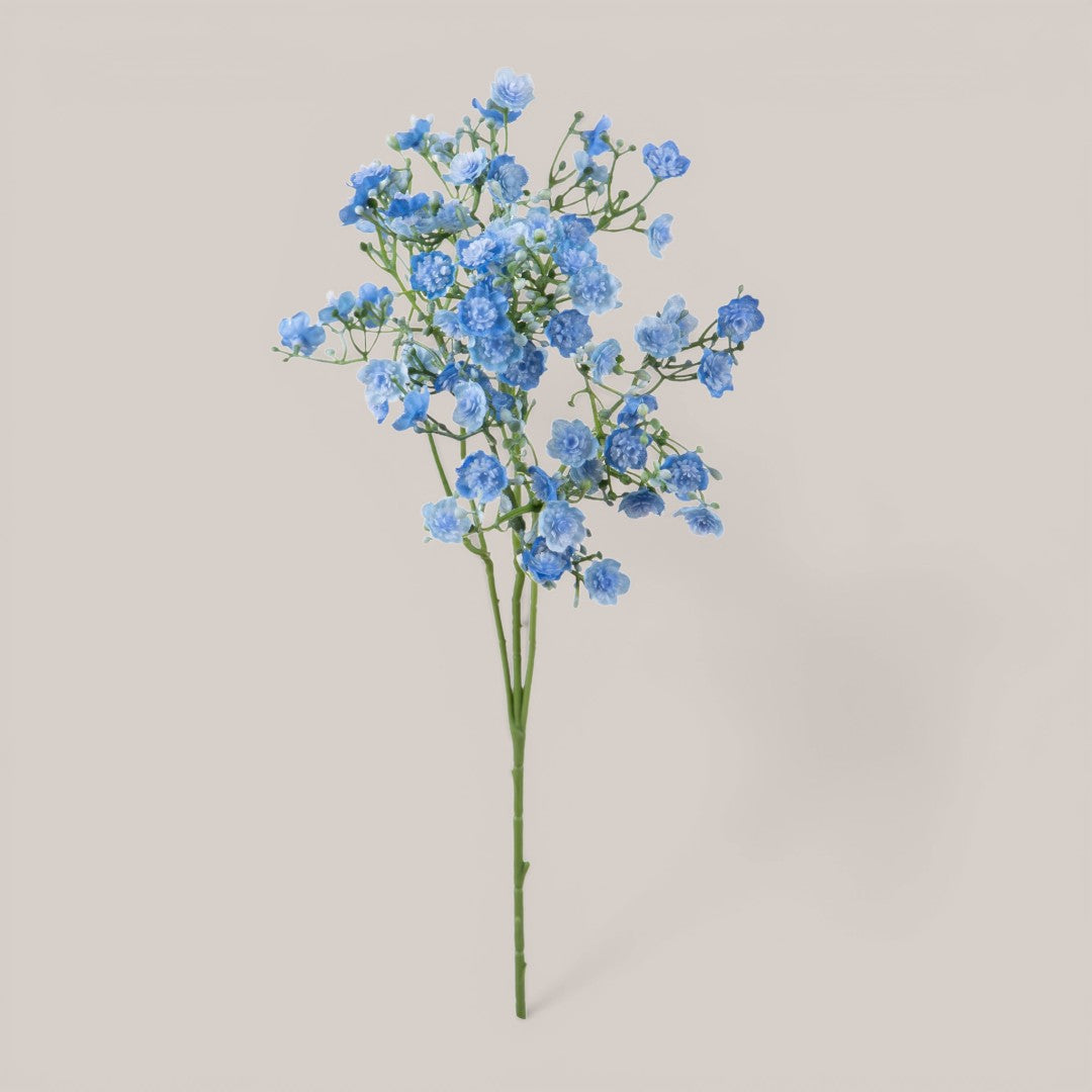 Gipsophila a doppio petalo • 46 cm