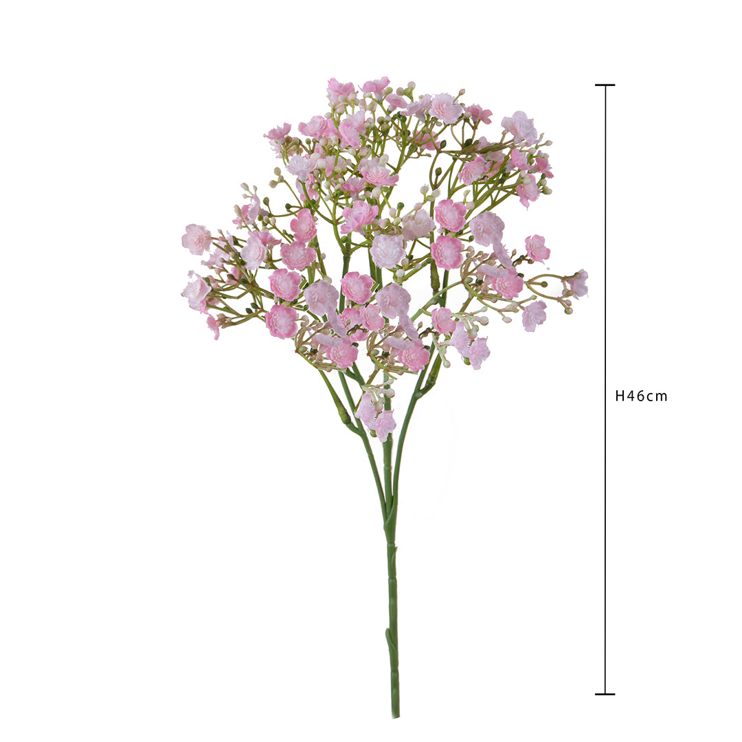 Gipsophila a doppio petalo • 46 cm