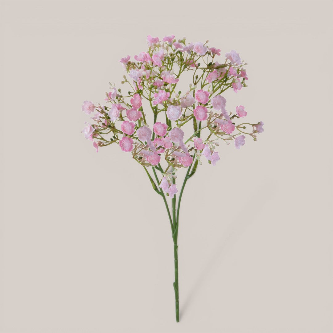 Gipsophila a doppio petalo • 46 cm