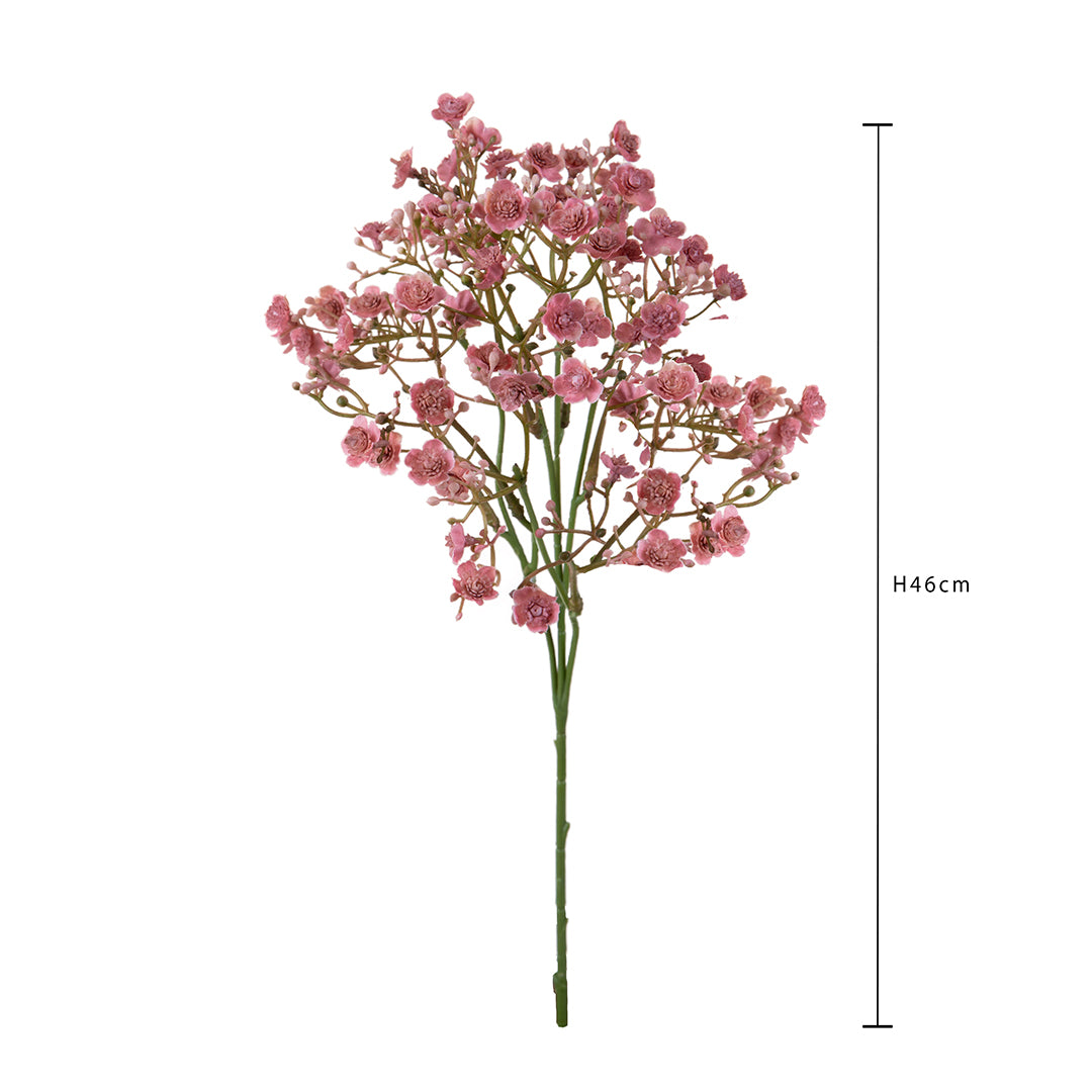 Gipsophila a doppio petalo • 46 cm