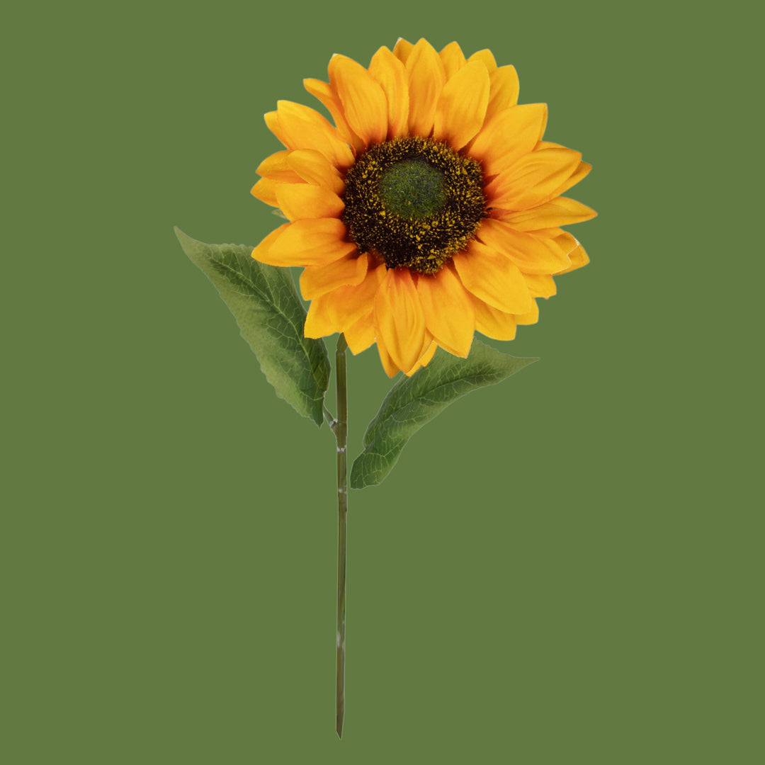 Girasole • 48 cm