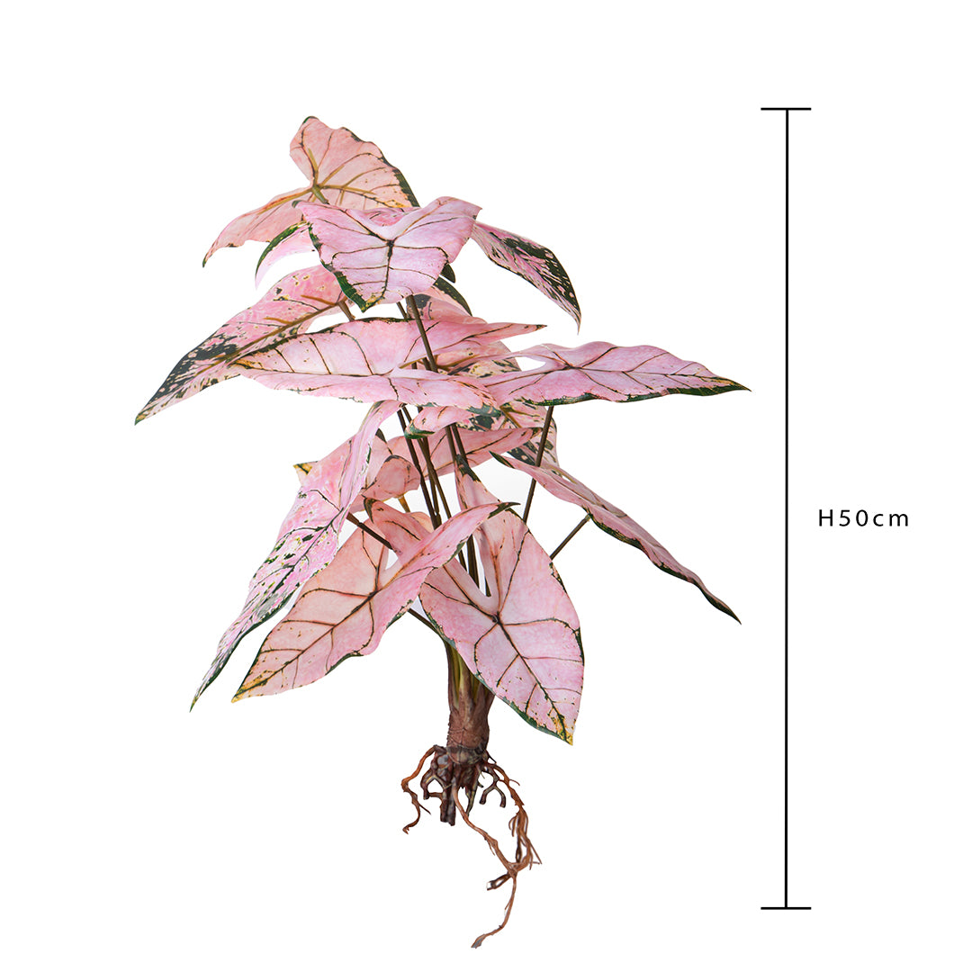 Alocasia artificiale con foglie • 50 cm
