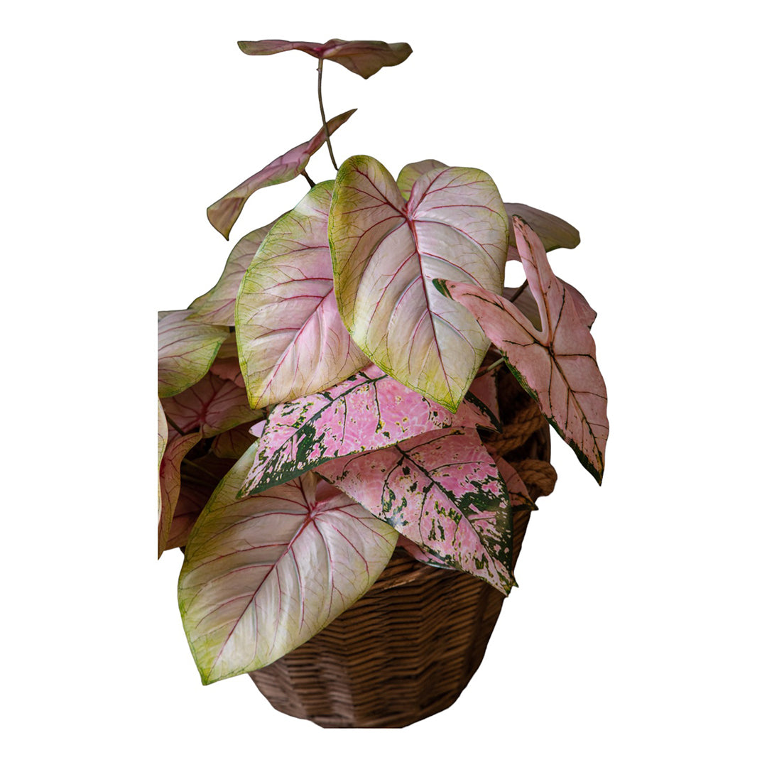 Alocasia artificiale con foglie • 50 cm