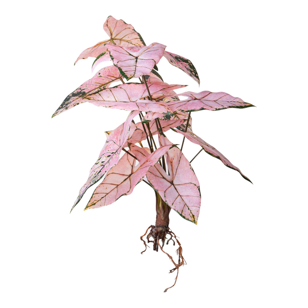 Alocasia artificiale con foglie • 50 cm