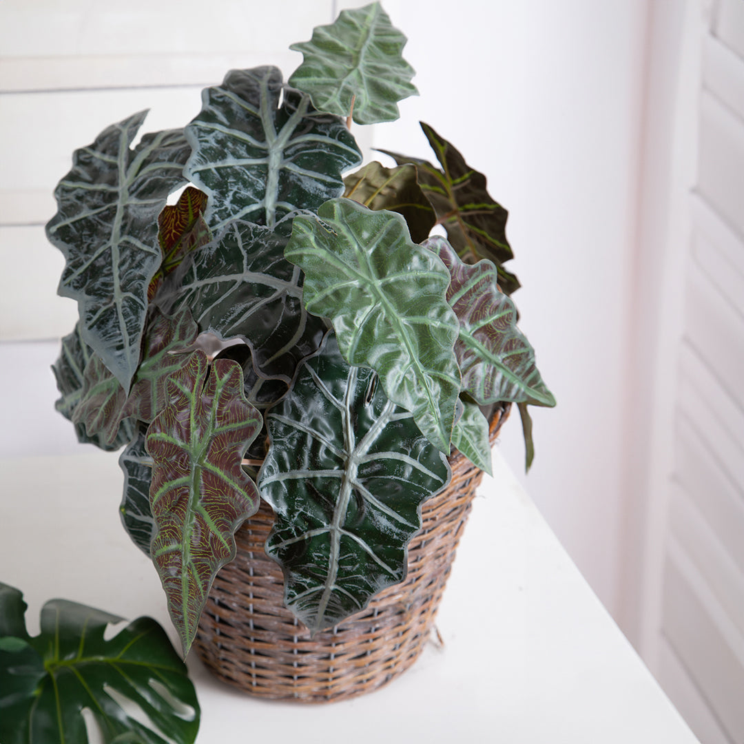 2 Pezzi • Alocasia con poche foglie artificiale • 43 cm
