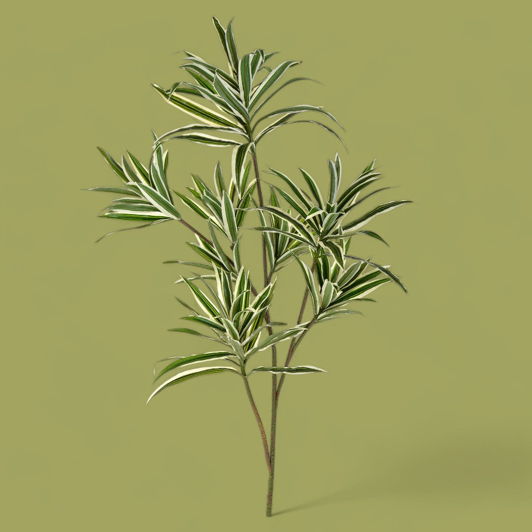 Dracena con 141 foglie artificiale • 84 cm