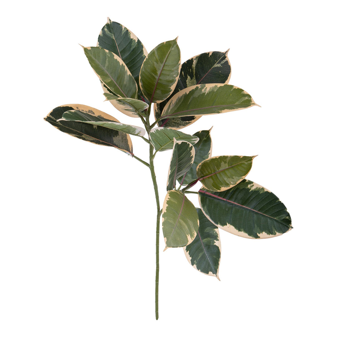 2 Pezzi • Pianta Rubber artificiale • 58 cm