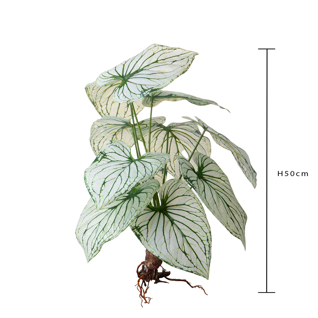 Cadente artificiale Caladium con foglie • 50 cm