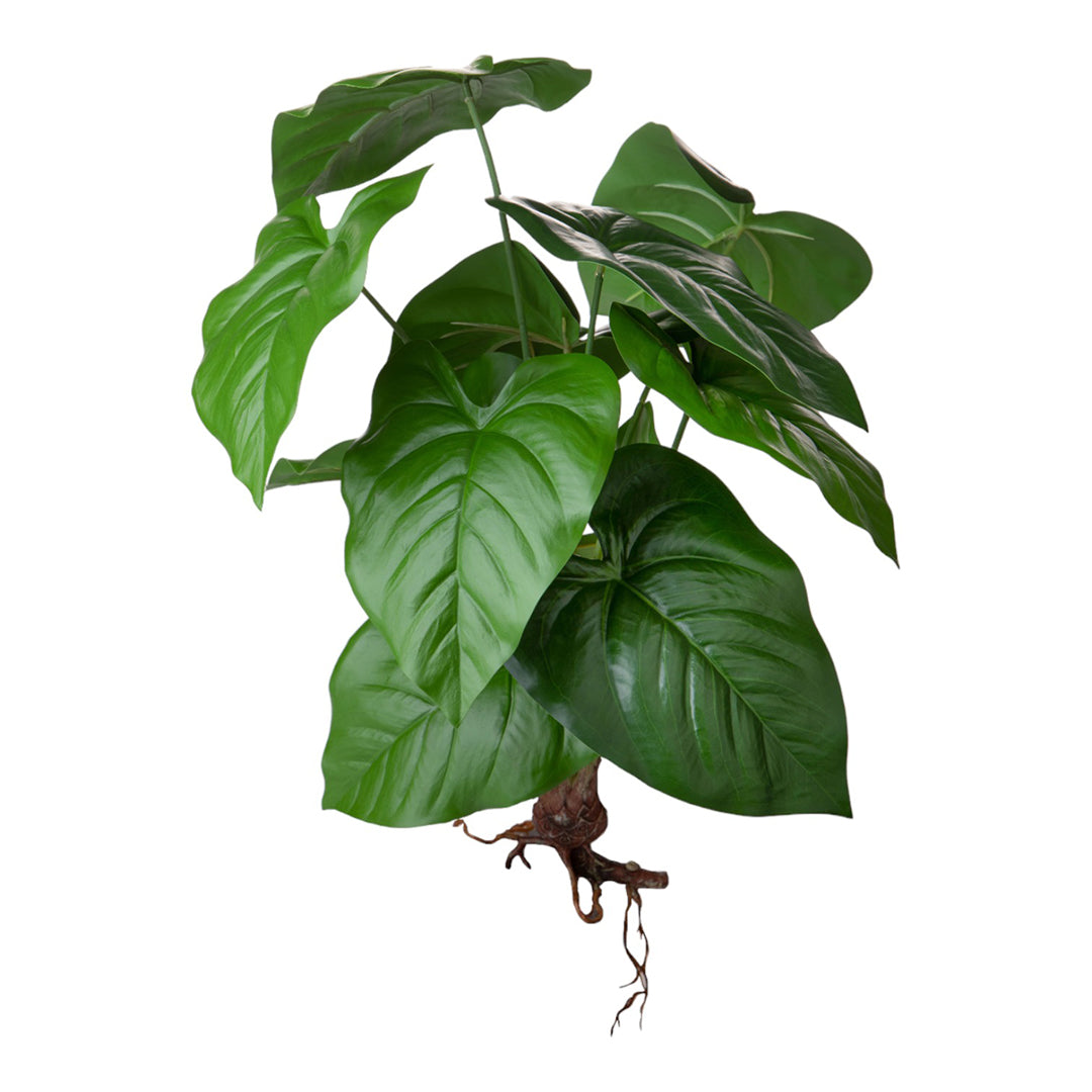 Cadente artificiale Caladium con foglie • 50 cm