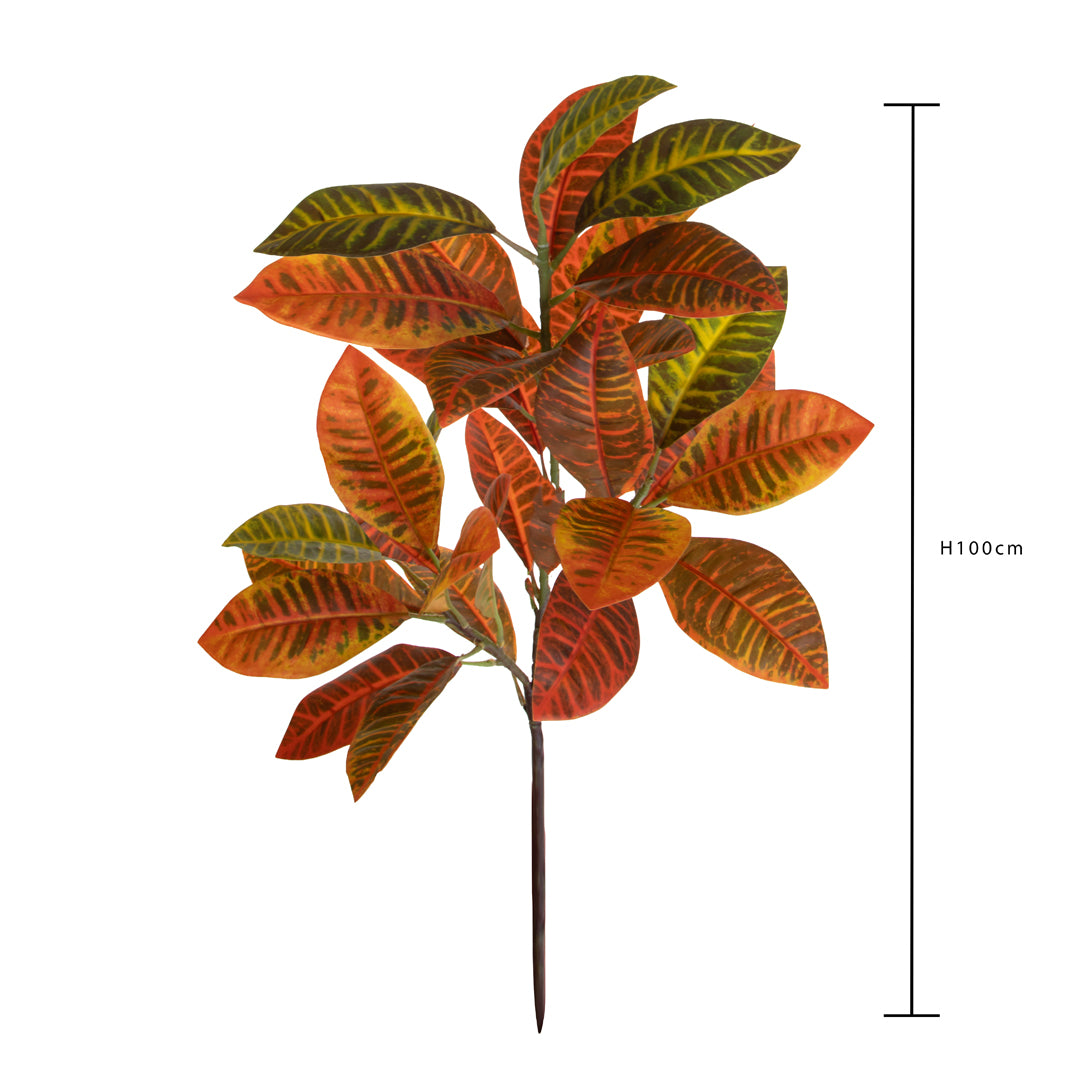 Pianta Croton 22 Foglie • 100 cm