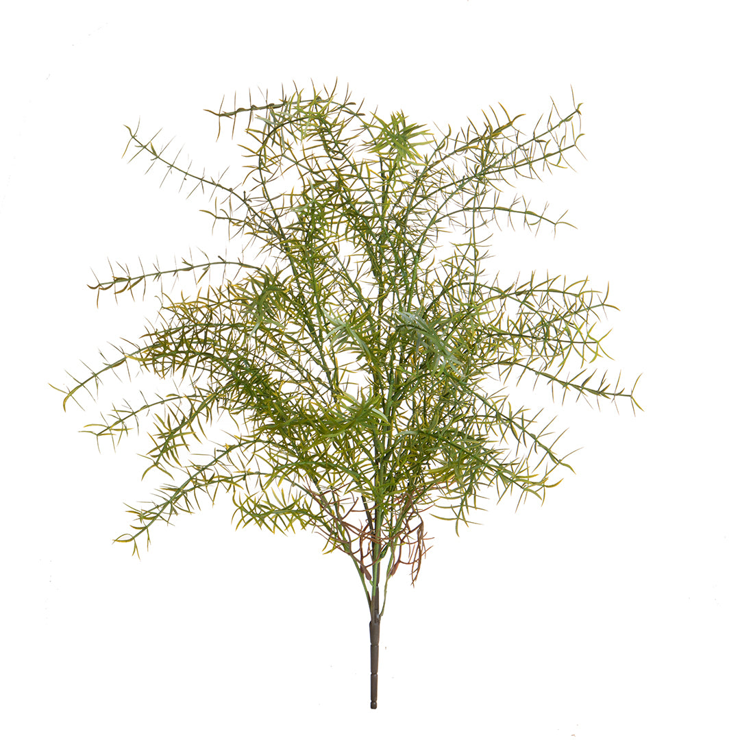 Springeri Mazzo • 65 cm