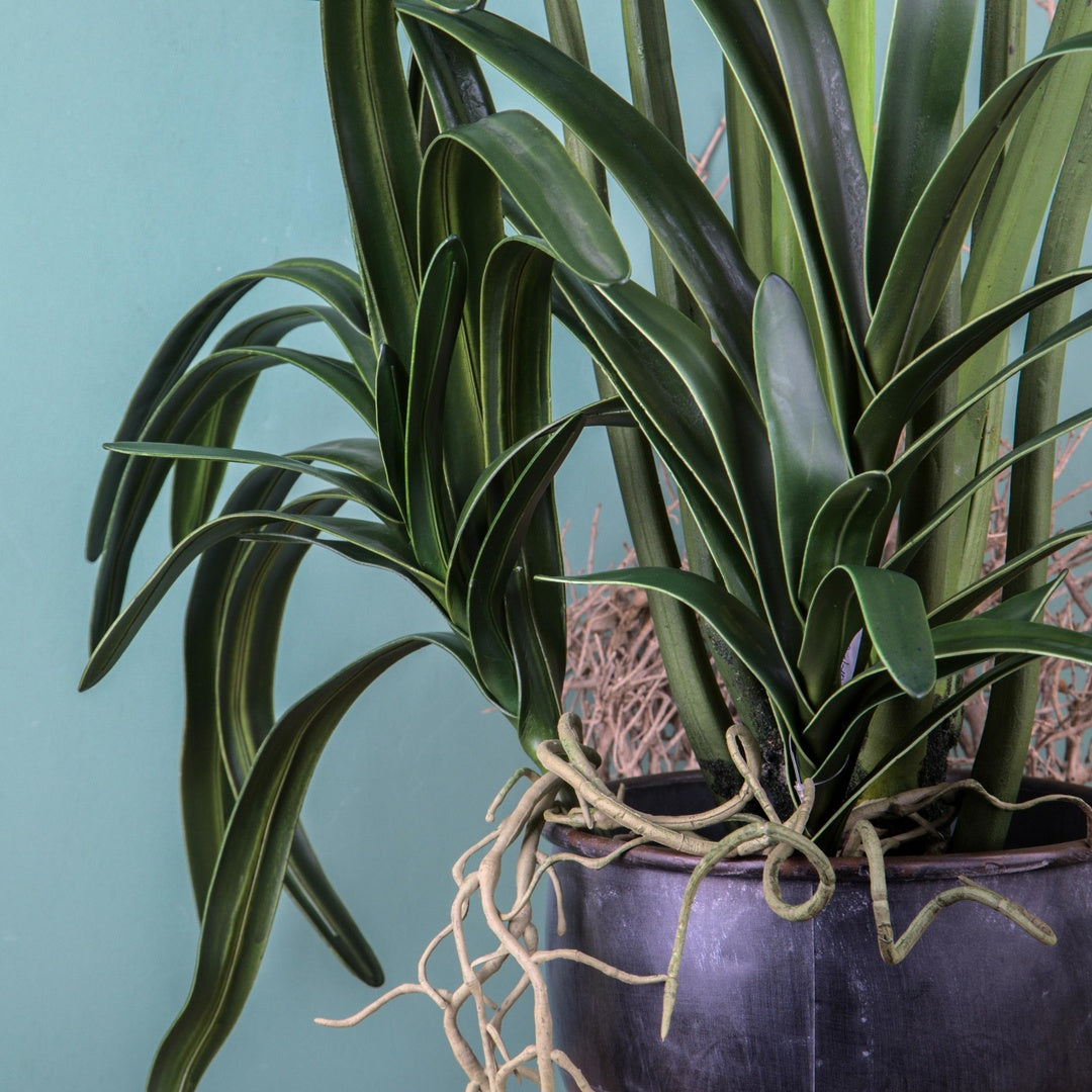 Pianta di cymbidium artificiale • 69 cm