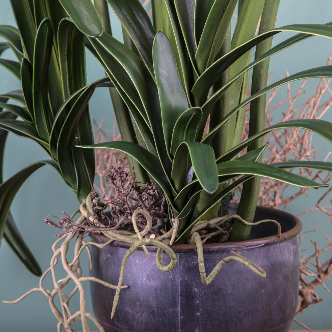 Pianta di cymbidium artificiale • 69 cm